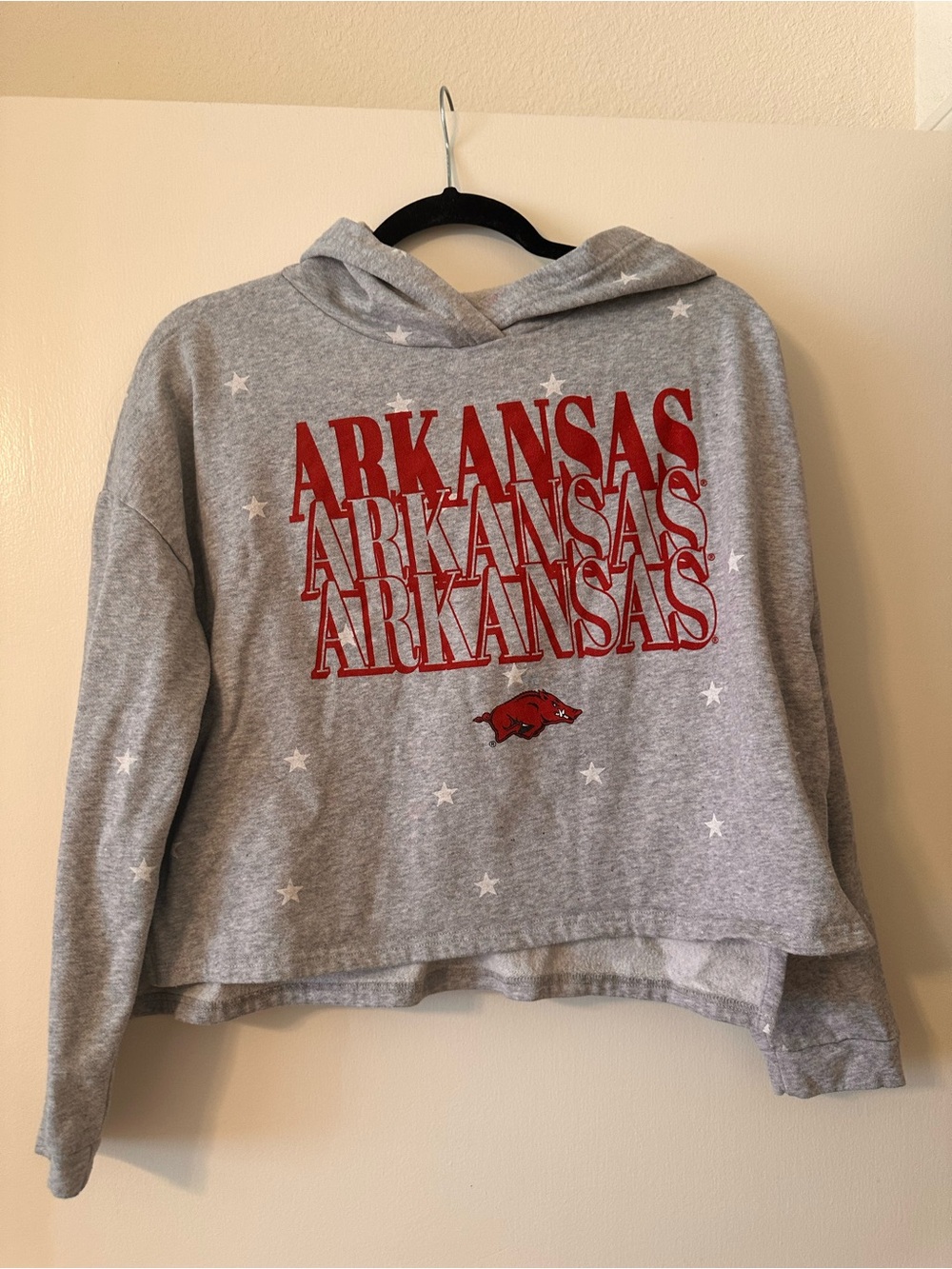 Arkansas Collegiate Grey Crop Hoodie with Red Logo